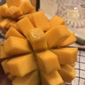 夢(mèng)茜兒凱特芒果 9斤特大青芒正宗四川新鮮青皮熱帶水果當季現摘整箱 5斤 中果【2-5兩/枚】實(shí)惠嘗鮮 曬單實(shí)拍圖