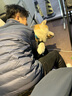 TRUELOVE狗狗牽引繩狗鏈子牽引帶遛狗防掙脫背心式小中大型犬防爆沖胸背帶 紫色 L-胸圍69-81cm建議18kg-30kg選擇 曬單實拍圖