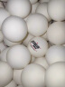 红双喜DHS赛顶白一星乒乓球训练用球大包装120只装 实拍图