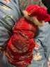 智宙 貓咪衣服過新年喜慶中國(guó)風(fēng)秋冬季保暖狗狗寵物貓貓布偶春節(jié)英短 財(cái)神喵~ XL  【15-18斤】 龍鳳呈祥唐裝 曬單實(shí)拍圖