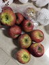 吉果叔 大涼山丑蘋(píng)果 當季時(shí)令新鮮水果四川脆甜冰糖心紅富士整箱 生鮮 【超值裝】?jì)糁?.5斤 中果（單果70-75mm） 曬單實(shí)拍圖