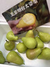 青惠悠山東煙臺(tái)太婆梨軟糯大頭香蕉啤梨老媽子丑茄面梨菇水果特產(chǎn)整箱 太婆梨帶箱3斤【小果100g+】 曬單實(shí)拍圖