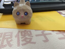 風(fēng)之草貓咪桌面擺件生日禮物女可愛情人節(jié)送女朋友辦公室車載治愈小擺件 木雕風(fēng)喵喵站姿小擺件 布偶款【單個(gè)盒裝】 曬單實(shí)拍圖