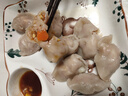 五點(diǎn)素純素食水餃速凍速食家庭裝餃子蒸餃煎餃營(yíng)養(yǎng)健康兒童早餐 玉米馬蹄水餃500g*2包 曬單實(shí)拍圖