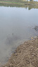 億戰(zhàn)獅自動(dòng)地插釣魚(yú)神器懶人黑科技彈竿釣組彈簧黑魚(yú)甲魚(yú)專用全套爆炸鉤 20米線【7#雙鉤】3套 其他 曬單實(shí)拍圖