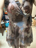 鑫格萊特泳衣女2024新款微胖女孩遮肉顯瘦連衣裙式溫泉海灘度假情侶泳衣 花色 M 曬單實(shí)拍圖
