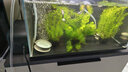 徹朗魚(yú)缸氧氣泵超靜音家用小型氧氣泵養(yǎng)魚(yú)水族箱打氧機(jī)魚(yú)缸增氧泵 5W+2個(gè)8cm納米霧化氣盤套餐 曬單實(shí)拍圖