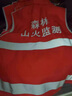 北羅反光衣馬甲工作服定制工程安全多口袋戶(hù)外交通活動(dòng)條紋背心印logo TS-N條反光馬甲 寶藍 3XL 曬單實(shí)拍圖