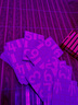 魔術(shù)道具近景魔術(shù)撲克表演道具 曬單實(shí)拍圖