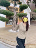 萬欣兒衛(wèi)衣春秋季新款女裝韓版連帽時尚打底t恤長款長袖女 卡其色 M 建議90-105斤 曬單實(shí)拍圖