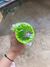 夢(mèng)泡壽司卷簾硅膠仿竹日料工具做紫菜包飯海苔糯米卷飯團制作專(zhuān)用簾子 壽司卷簾【硅膠】草綠色 曬單實(shí)拍圖