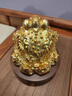 錦呈祥全銅金蟾擺件三足蟾蜍招財(cái)納福轉(zhuǎn)運(yùn)辦公室前臺(tái)桌面擺設(shè)喬遷開業(yè) 中號(hào)鎏金金蟾 曬單實(shí)拍圖