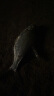 simago喜曼多咬钩变色夜光漂夜钓鲫鲤鱼高灵敏重力感应醒目电子浮漂FX02 实拍图