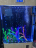 美諾魚缸客廳半圓型魚缸屏風大中小型家用落地式玻璃金魚缸生態(tài)免換水 白色 80*40*138 曬單實拍圖