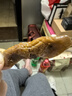 冷幫主四川麻辣冷吃大火箭魷魚(yú)開(kāi)袋即食小吃海鮮熟食鹵味休閑零食 麻辣 麻辣味 130g /袋 曬單實(shí)拍圖