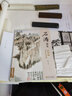 石濤畫集/中國畫名作賞析 曬單實(shí)拍圖