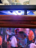 森森（SUNSUN）鱼缸潜水灯变色LED灯七彩照明水族箱造景灯龙鱼防水灯管 （三色可变）76cm双排灯珠13W（带开关） 实拍图
