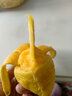 京興果正宗海南小臺(tái)農(nóng)芒果新鮮當(dāng)季特產(chǎn)小臺(tái)芒金孕婦煌熱帶水果10斤特產(chǎn) 10斤家庭裝 曬單實(shí)拍圖