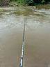 達億瓦（DAIWA）21新款 PR 100 路亞水滴輪釣魚輪漁輪魚線輪鱸魚淡水釣 100H（右手輪）7.3速比 曬單實拍圖