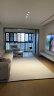 迪梵路（DIFANLU）意式极简地毯素色客厅沙发茶几毯侘寂风现代简约卧室满铺灰色条纹 Pran-21726 2.4*3.4米(适合4人或L型沙发) 实拍图