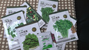 京農研西瓜甜瓜種子8424麒麟甜王無(wú)籽京欣西瓜大興L600超甜彩瓤小西瓜 京美甜王 20克 曬單實(shí)拍圖