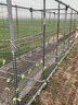 塑料網(wǎng)圍欄網(wǎng)養殖網(wǎng)養雞圍欄網(wǎng)果園菜園圍欄網(wǎng)格防護隔離柵欄圍網(wǎng) 【1米高10米長(cháng)】送扎帶 3厘米網(wǎng)孔 2.0毫米厚 曬單實(shí)拍圖