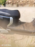 牧浪直流潛水泵小型家用電動(dòng)車(chē)農(nóng)田灌溉抽水泵電瓶車(chē)高揚(yáng)程水泵抽水機(jī) 2寸48V60V（出水量大）- 10米線【1寸50米帆布水帶禮包】 曬單實(shí)拍圖