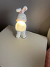 初見(jiàn)兔子護眼小夜燈臥室睡眠燈喂奶床頭燈嬰兒童可愛(ài)伴睡網(wǎng)紅充電臺燈 大白兔夜燈 曬單實(shí)拍圖