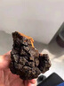 圣曦和樺樹茸長(zhǎng)白山白樺茸茶 樺褐孔菌黑金顆粒樺樹淚可搭桑黃靈芝送禮 精選大油快3-4斤整塊 曬單實(shí)拍圖