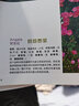 人氣玫瑰月季盆栽入門(mén) 曬單實(shí)拍圖