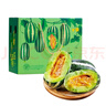 馬保果博洋9號甜瓜 新鮮水果當(dāng)季脆蜜香瓜玻璃脆冰糖子甜瓜 5斤 分享裝 曬單實拍圖