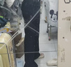 BM牛仔褲女2025新款今年流行爆款純色高腰直筒寬松闊腿褲百搭褲子 藏青色 均碼 曬單實拍圖