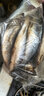 青魚(yú)東北沙丁魚(yú)新鮮海鮮深海冷水魚(yú)懶人之寶鯡魚(yú)整箱 凈重5斤(帶籽或油) 單條7-8兩 曬單實(shí)拍圖