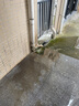 背水面防水樓上衛(wèi)生間天花板漏水修補地下室內墻屋頂滲水補漏材料 10KG堵漏王+5KG背水膠 約6平方 曬單實拍圖
