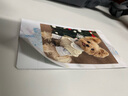 拍立得廢片貼紙洗照片自粘照片打印沖印大頭貼背膠幼兒園成長(cháng)手冊 貼拍立得mini廢片【24張】背膠 其它尺寸其他 曬單實(shí)拍圖