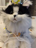 Chongker寵客仿真貓咪公仔奶牛小貓可愛(ài)毛絨玩具娃娃玩偶生日兒童禮物女友 黑白奶牛貓 35*20*23 曬單實(shí)拍圖