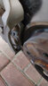 騎士隔音（QISHI）汽車(chē)隔音棉  止震板全車(chē)套餐改裝環(huán)保丁基膠全車(chē)四門(mén)輪胎減震材料 前兩輪雙層套餐 曬單實(shí)拍圖