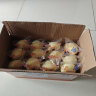 港荣蒸蛋糕儿童营养早餐小面包独立包装900g 鸡蛋糕饼干食品零食礼品 实拍图