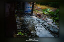 唯卓仕27mm F1.2 Pro自動(dòng)對焦鏡頭APS-C畫(huà)幅大光圈人像適用X卡口E卡口Z卡口微單相機定焦頭 【現貨】尼康Z卡口 官方標配【2年質(zhì)?！?曬單實(shí)拍圖