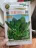 京研菠菜種子趴地菠番杏春秋紅根大圓葉菠菜越冬越夏農(nóng)科院蔬菜種籽孑 京菠1905（20克）1袋 曬單實(shí)拍圖