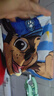 汪汪隊立大功（PAW PATROL）男童內(nèi)褲兒童四角褲3A級抑菌檔寶寶學生中大童卡通短褲PA1639 130 曬單實拍圖