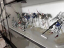 子木雅居玻璃展示柜產(chǎn)品陳列柜玩具樂高收納家用模型積木擺件柜子書 40*40*200五曾單開門輕奢灰 曬單實拍圖