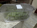 愛(ài)麗思（IRIS）保鮮盒冰箱收納盒抽屜式廚房食品果蔬雞蛋速食保鮮冷藏冷凍儲存盒 【人氣】特大號(無(wú)隔板) 帶蓋 曬單實(shí)拍圖