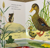 英文  I Am a Bunny Mouse Puppy Kitten Mouse 紙板書 5冊(cè)禮盒裝  英語(yǔ)啟蒙早教 斯凱瑞童書 Animals Stories 綠山墻 曬單實(shí)拍圖