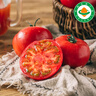 【新疆 有機西紅柿】新鮮買蔬菜自然熟沙瓤大番茄普羅旺斯 【寶寶小果】 2.5kg 約33枚 曬單實拍圖