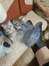 派可為（TOM CAT）擼貓手套貓梳子去浮毛狗梳子針梳寵物貓咪用品毛發(fā)清理器除毛神器 擼貓手套右手單只 曬單實(shí)拍圖