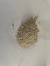 高效聚羧酸減水劑 混凝土減水劑 石膏減水劑 塑化劑 高效減水劑 國產(chǎn)500克 曬單實(shí)拍圖