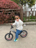 飞鸽（PIGEON）儿童平衡车滑步车宝宝车小孩滑行车两轮无脚踏车童车辐条轮银色 实拍图