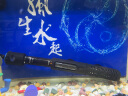 森森（SUNSUN）鱼缸加热棒自动恒温水族箱防爆加热器鱼缸水族用品 200W耀蓝尊享版 加强石英玻璃（29cm长） 实拍图