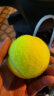 Wilson威尔胜全场地用球美网澳网专业训练网球 3粒装（球面数字随机） 实拍图